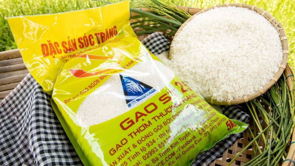 Gạo ST25 có nguy cơ mất thương hiệu gạo ngon nhất thế giới